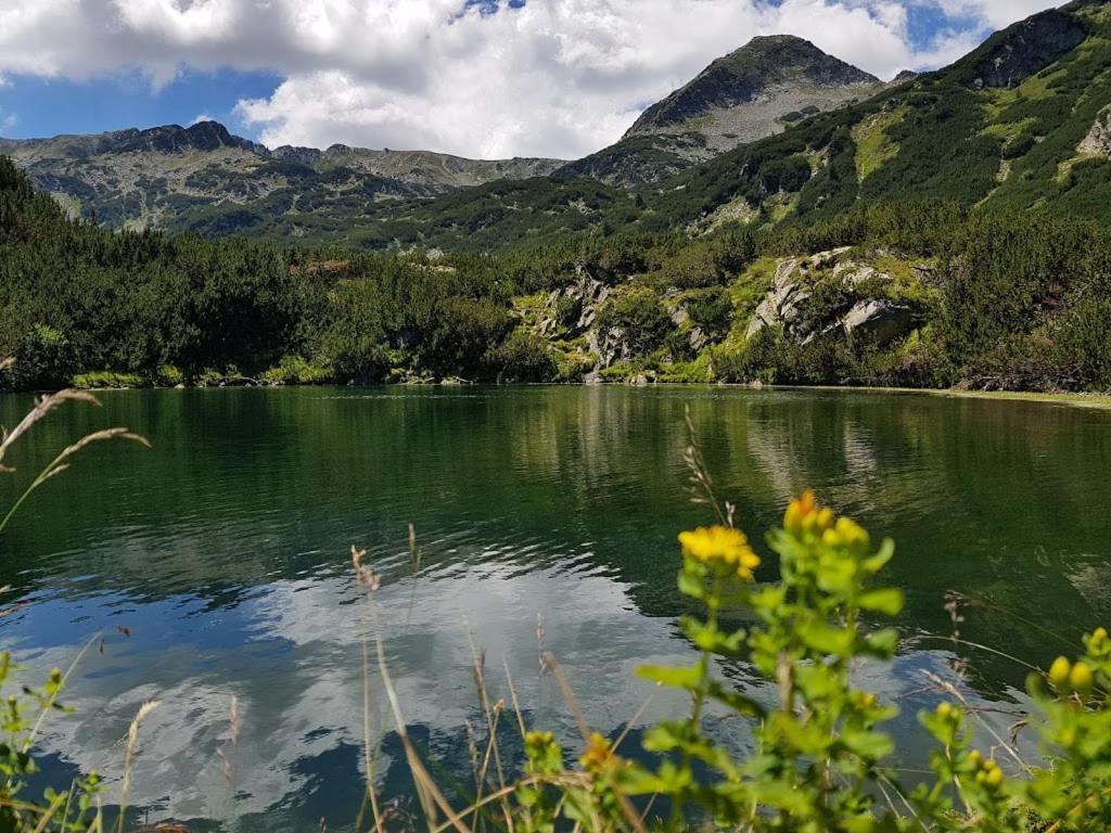 Pirina Club Hotel Bansko Eksteriør bilde