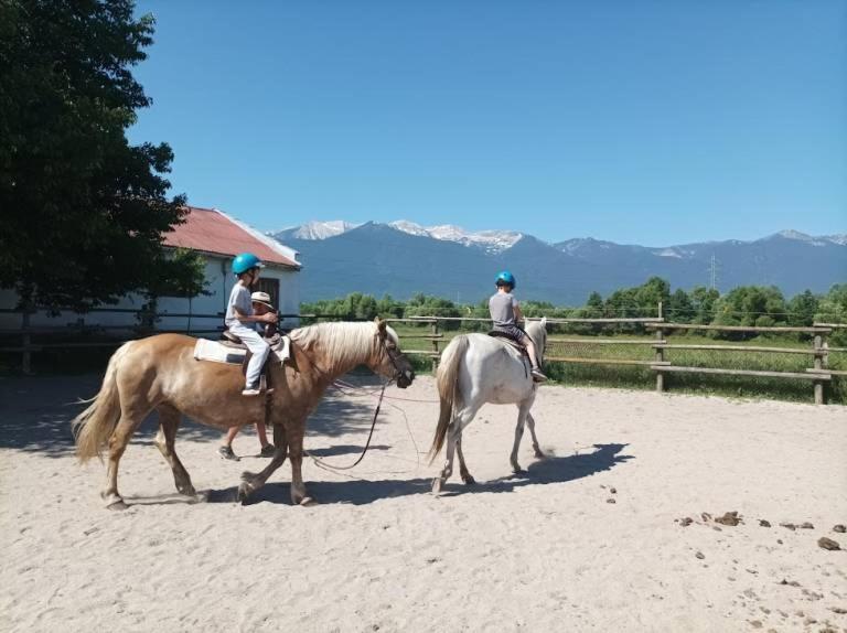 Pirina Club Hotel Bansko Eksteriør bilde