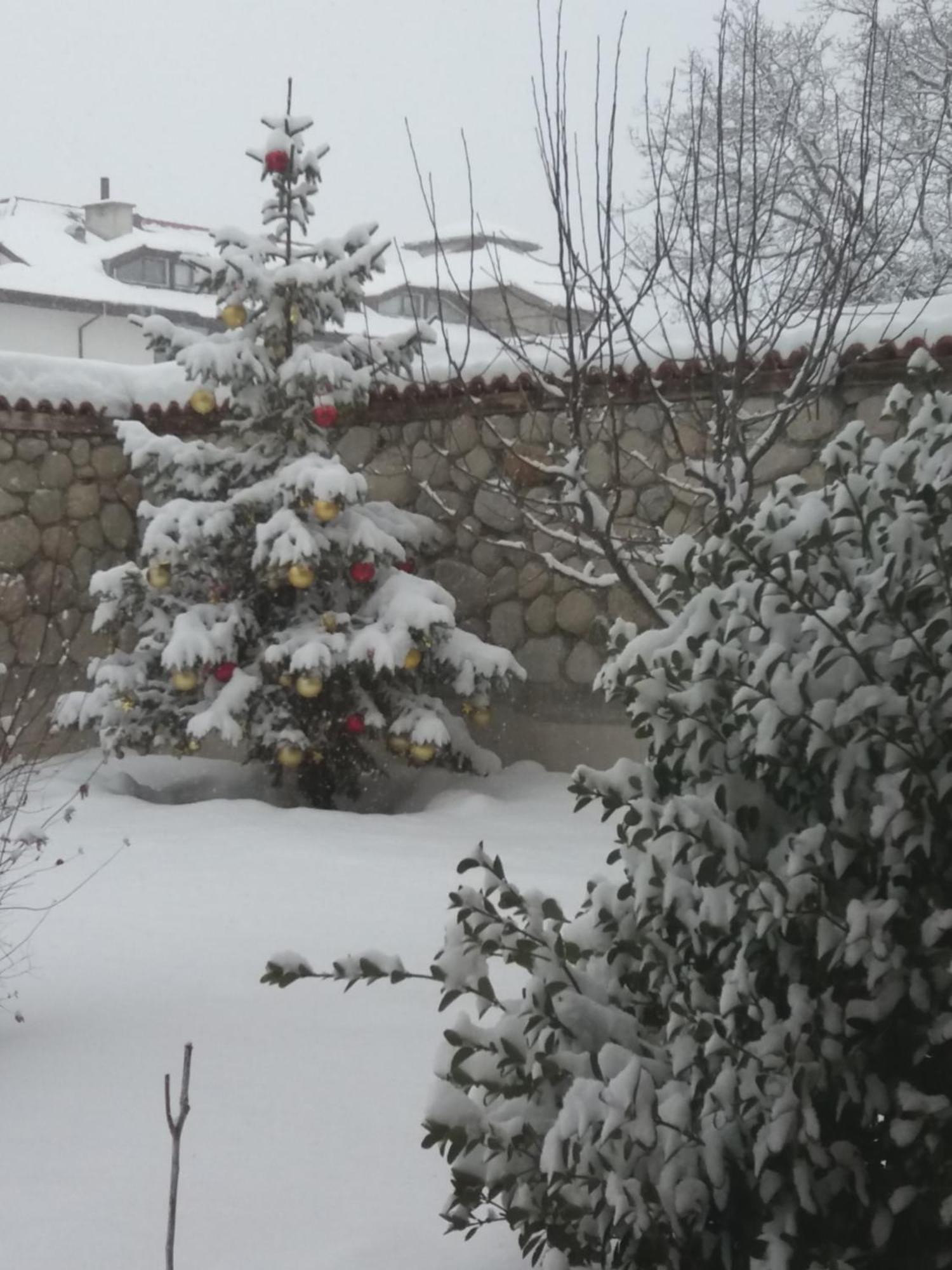 Pirina Club Hotel Bansko Eksteriør bilde